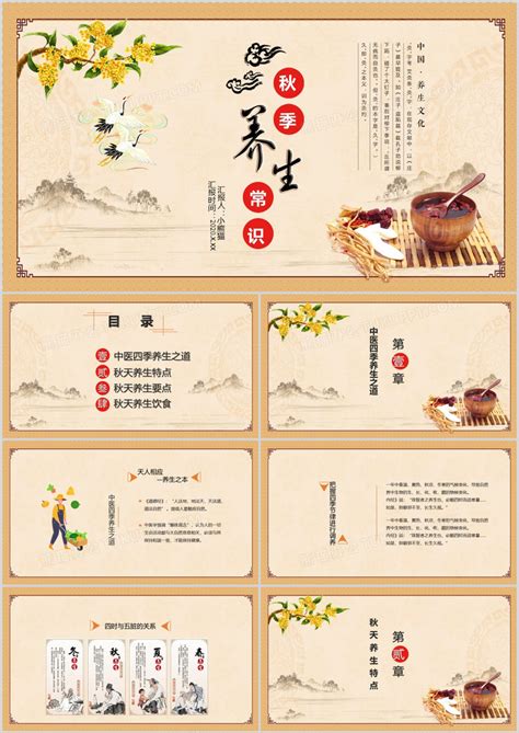 四季养生网:为您提供全方位的养生指南和健康知识