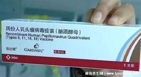 四价hpv疫苗适合人群年龄,20