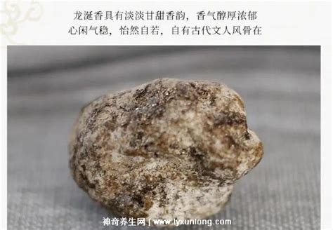 2023龙涎香一克多少钱价格表,1500元/克(味道特殊世间罕有)