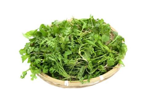荠菜哪三种人不能吃,过敏的人/经期女性/脾胃虚寒者(寒性)