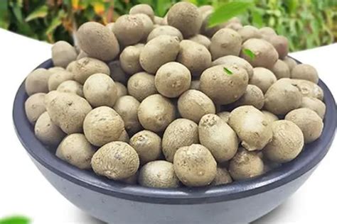 山药豆发芽了还能吃吗