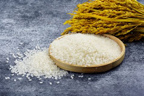 水稻是大米吗，大米是稻谷加工而