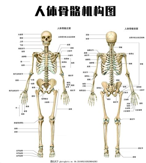 ͼƬ ṹͼ(