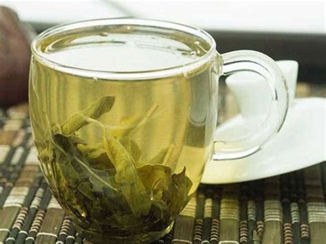 高血压最怕三种茶,莲心茶/菊花茶/松针茶(降压最快)
