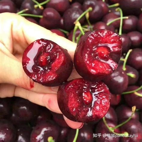 车厘子几个j代表什么意思,j越多果子越大(3勾是顶级车厘子)