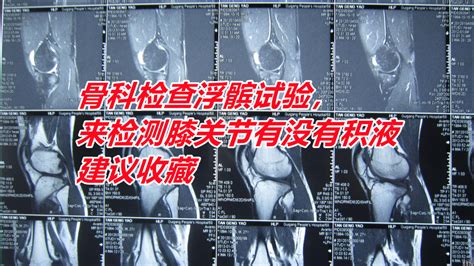 ǿƼ鸡飬ϥؽ