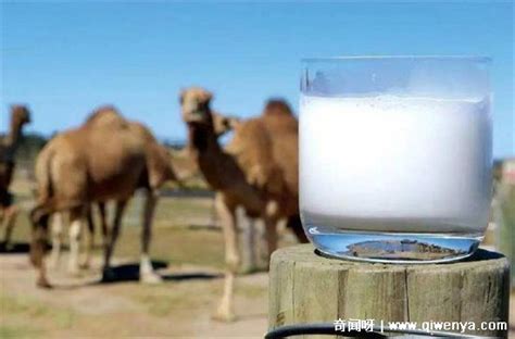 ���̶���Ǯһ�ޣ�����400