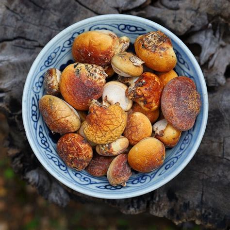 �ʺ��׿��ǵ�һ����������ǣ��޺������ִ󺣣��棩